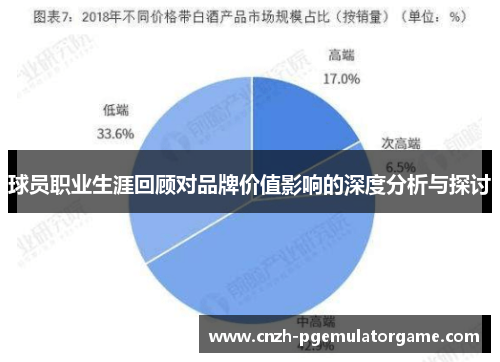 球员职业生涯回顾对品牌价值影响的深度分析与探讨