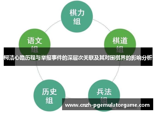 柯洁心路历程与举报事件的深层次关联及其对围棋界的影响分析