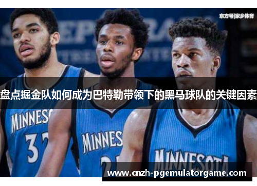 盘点掘金队如何成为巴特勒带领下的黑马球队的关键因素