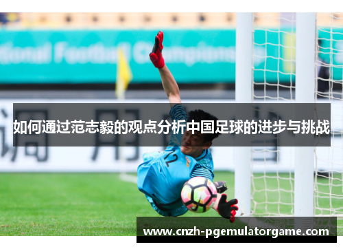 如何通过范志毅的观点分析中国足球的进步与挑战