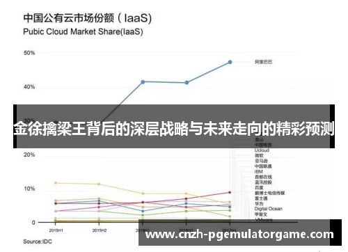 金徐擒梁王背后的深层战略与未来走向的精彩预测