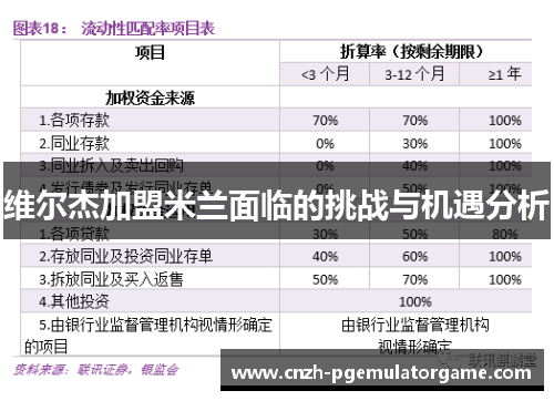 维尔杰加盟米兰面临的挑战与机遇分析
