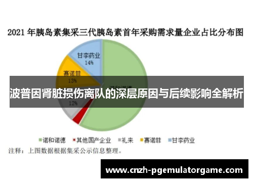 波普因肾脏损伤离队的深层原因与后续影响全解析