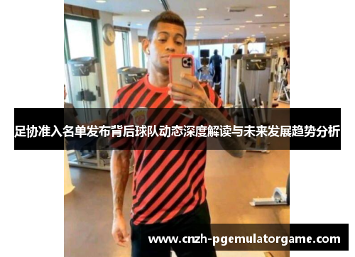 足协准入名单发布背后球队动态深度解读与未来发展趋势分析