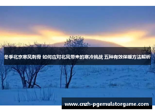 冬季北京寒风刺骨 如何应对北风带来的寒冷挑战 五种有效保暖方法解析