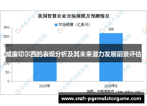 威廉切尔西的表现分析及其未来潜力发展前景评估