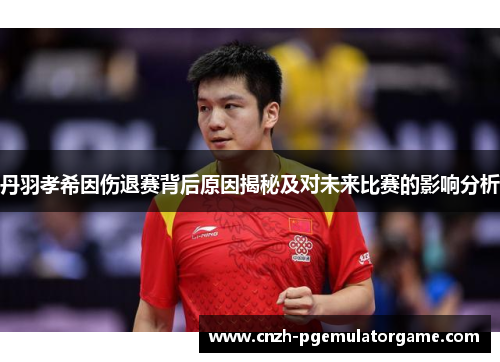 丹羽孝希因伤退赛背后原因揭秘及对未来比赛的影响分析