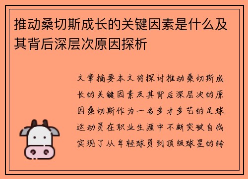 推动桑切斯成长的关键因素是什么及其背后深层次原因探析 推动桑切斯成长的关键因素是什么及其背后深层次原因探析