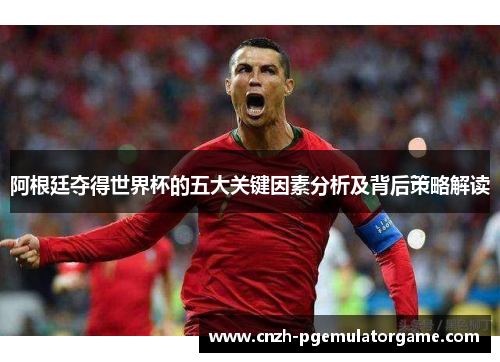 阿根廷夺得世界杯的五大关键因素分析及背后策略解读 阿根廷夺得世界杯的五大关键因素分析及背后策略解读