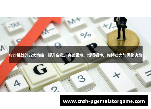 应对挑战的五大策略：提升自我、突破困境、增强韧性、保持动力与优化决策