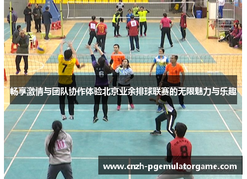 畅享激情与团队协作体验北京业余排球联赛的无限魅力与乐趣