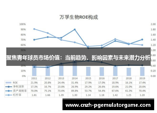 聚焦青年球员市场价值：当前趋势、影响因素与未来潜力分析